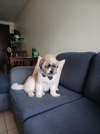 Sarap kantutin kapag bagong gising .